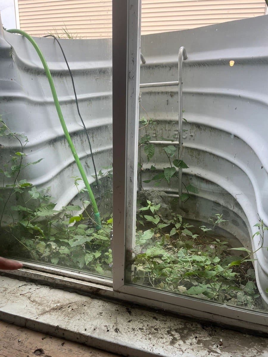 Egress Windows: What Every Homeowner Should Know