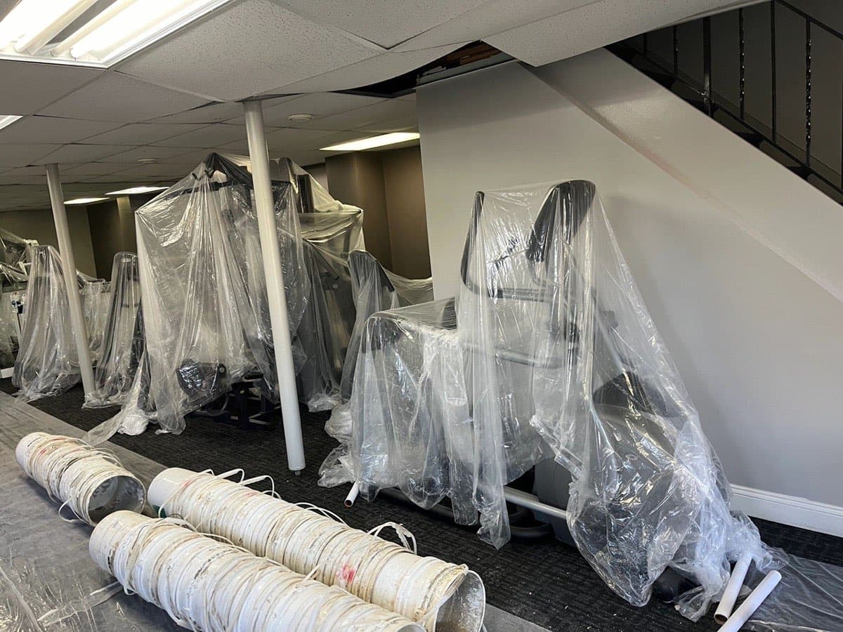 How to Prevent Mold in Your Basement