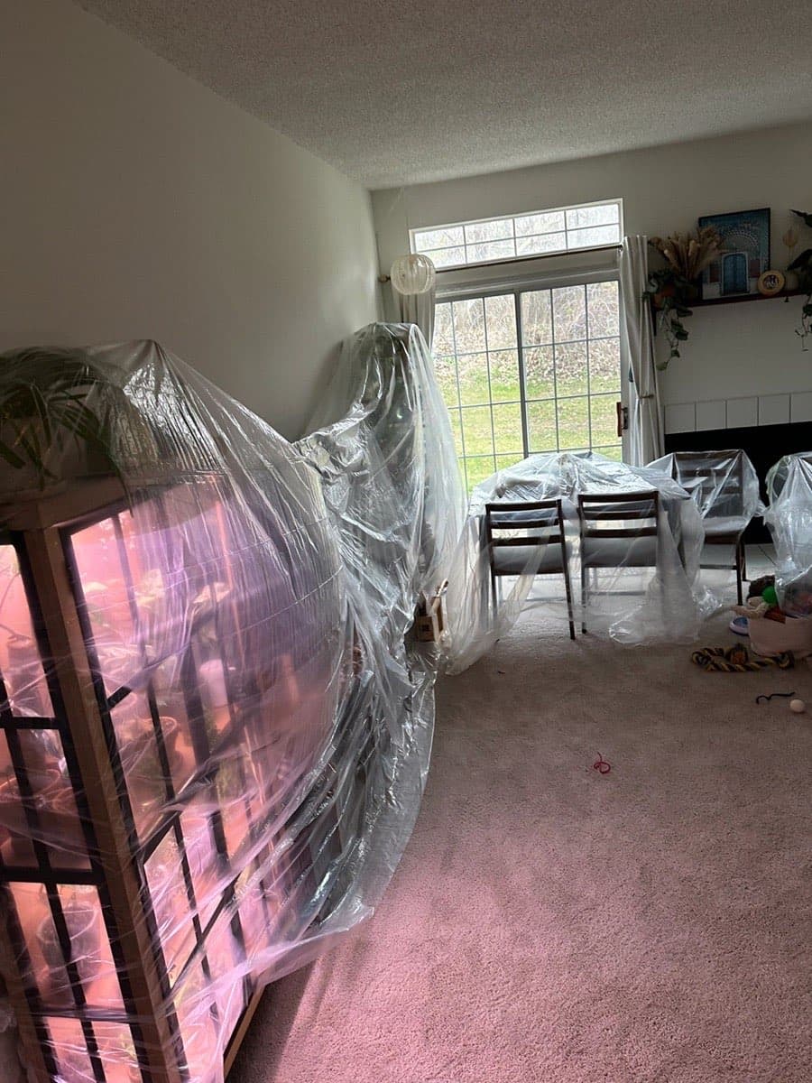 Basement Mold Remediation & Mold Abatement