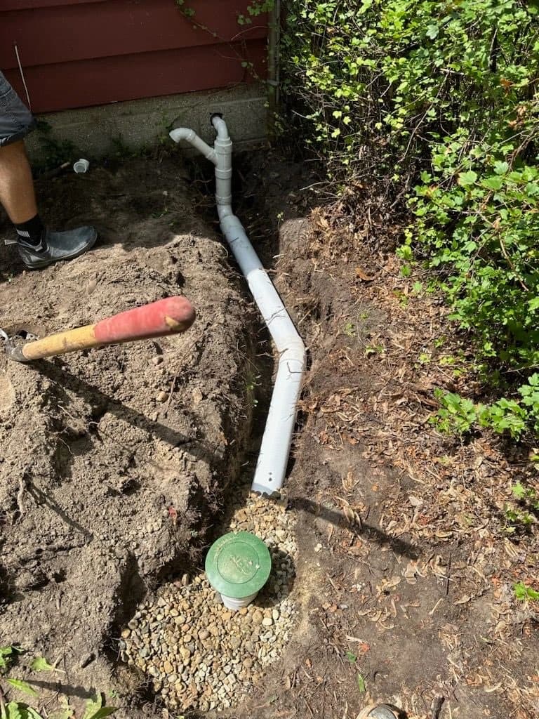 Drainage pipe buried in a yard trench running to a green pop-up emitter